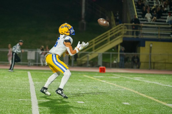 What Are the Most Unique Pet Choices in the UK?